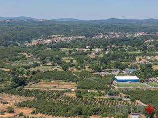 Vista