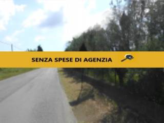 Zona