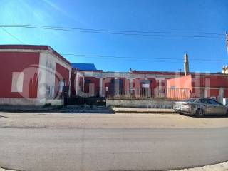 Zona