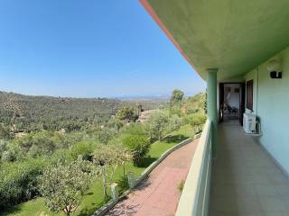 Terrazzo