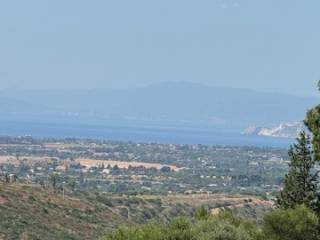 Vista
