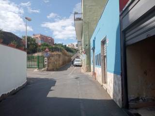 Zona