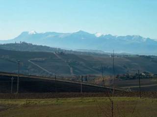 Vista