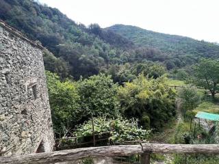 Vista
