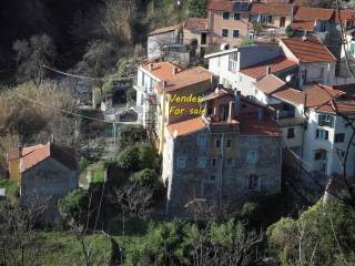 Vista