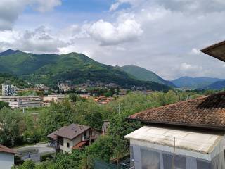Vista