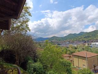 Vista