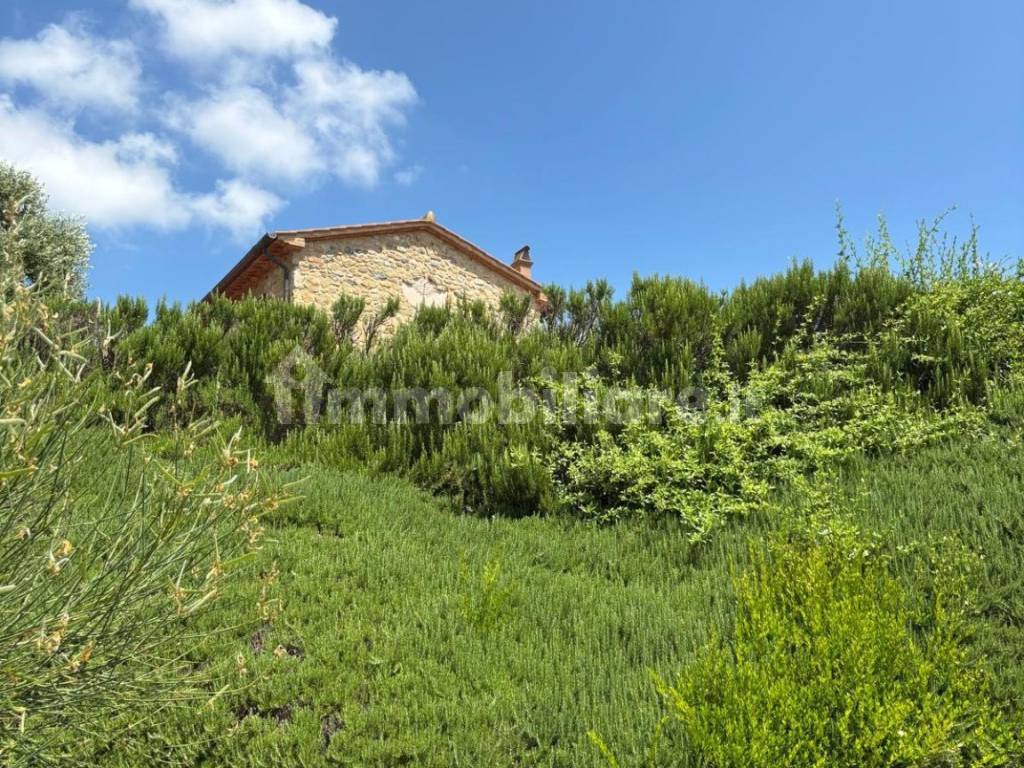 Terreno