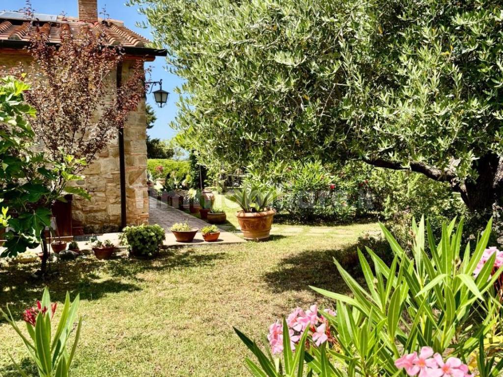 Giardino