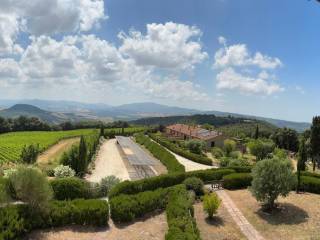 Vista