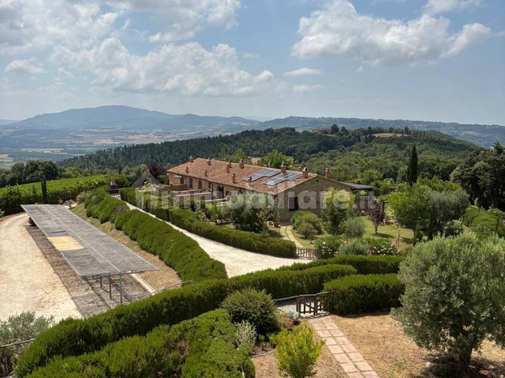 Vista