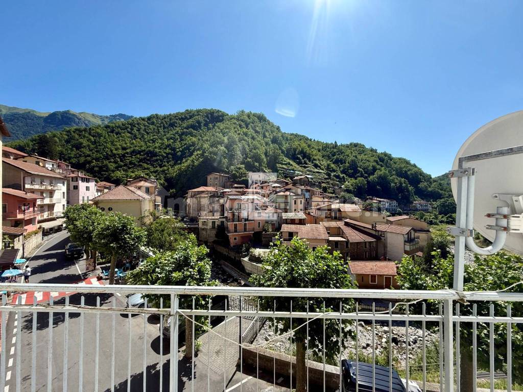 Vista