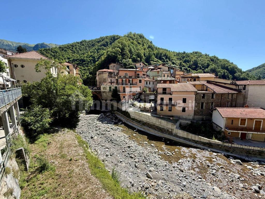 Vista