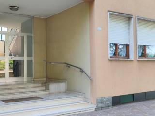 Ingresso