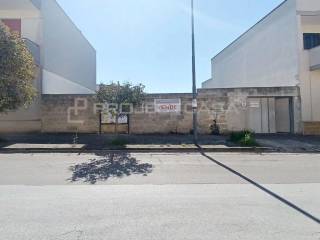 Zona