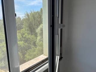 Vista