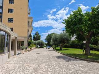 Zona