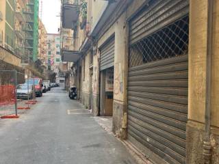 Zona