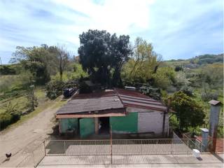 Vista