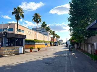 Zona