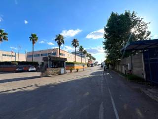 Zona