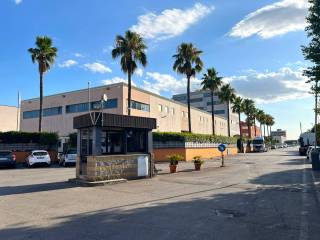 Zona