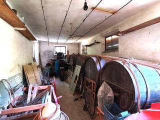 Cantina