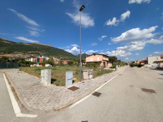 Zona