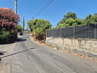 Zona