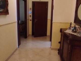 Ingresso