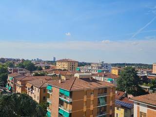 Vista