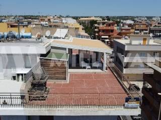 Vista