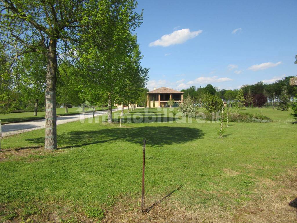 Terreno
