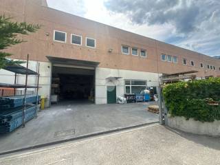 Magazzino