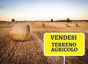 Altro
