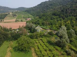 Vista