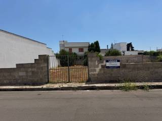 Zona