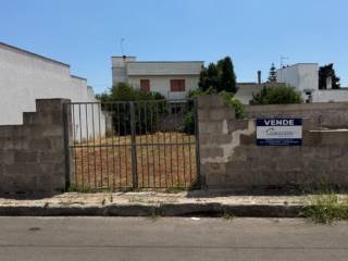 Zona