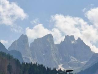 Vista