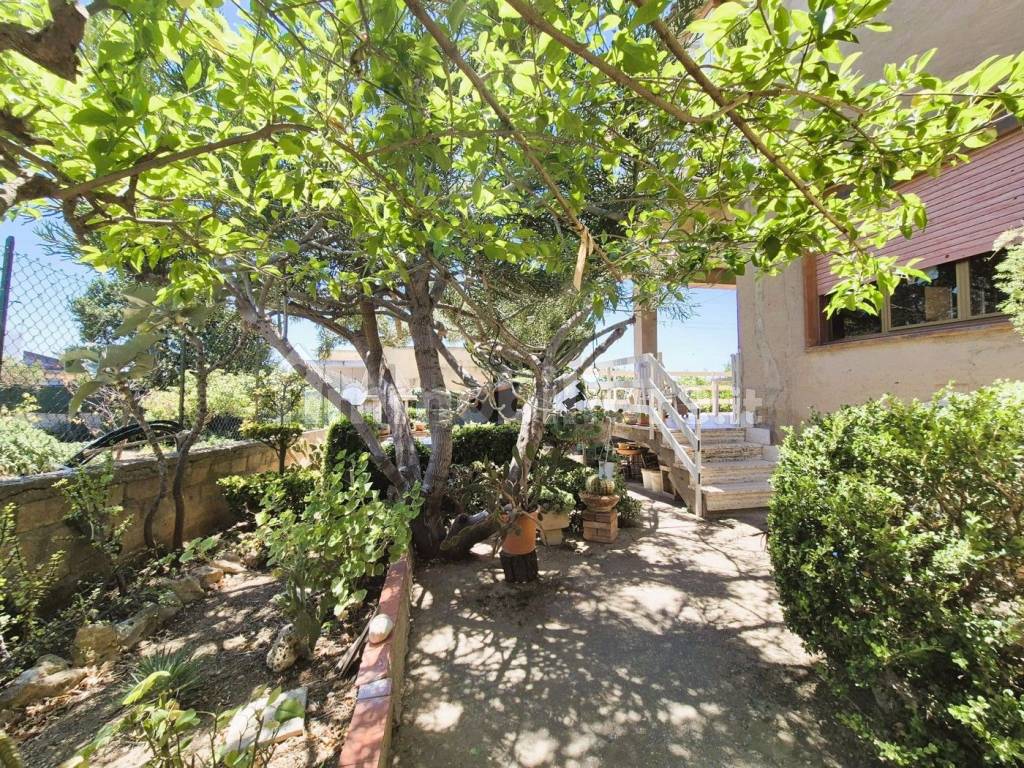 Giardino