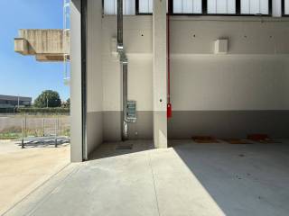 Ingresso