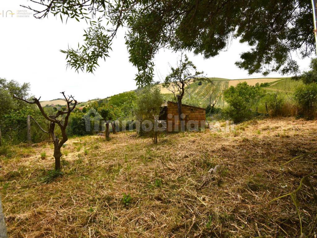 Terreno