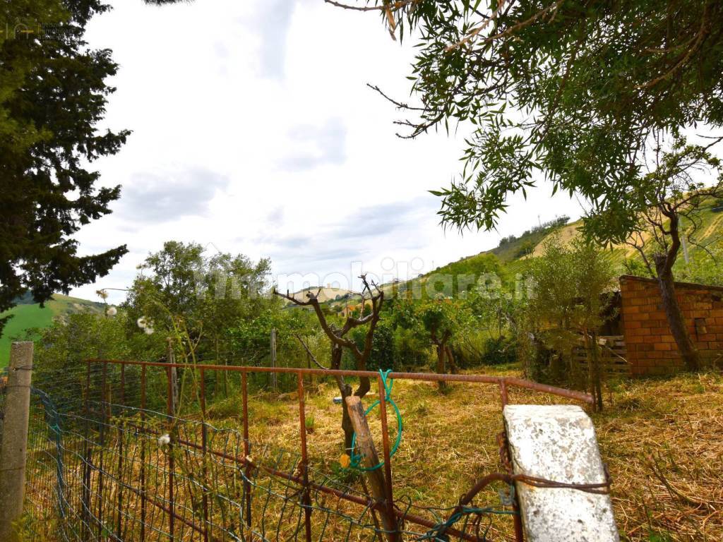 Terreno