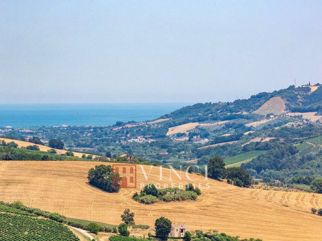 Vista
