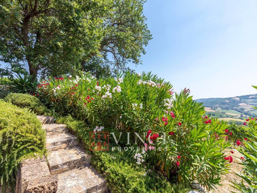 Vista