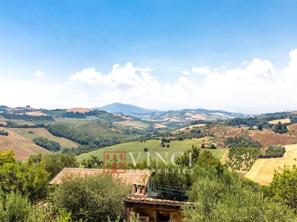 Vista