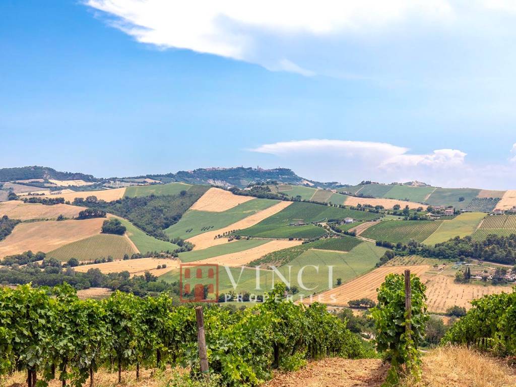 Vista
