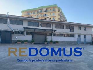Altro