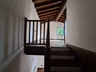 Scala