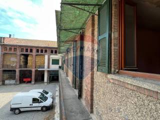 Zona